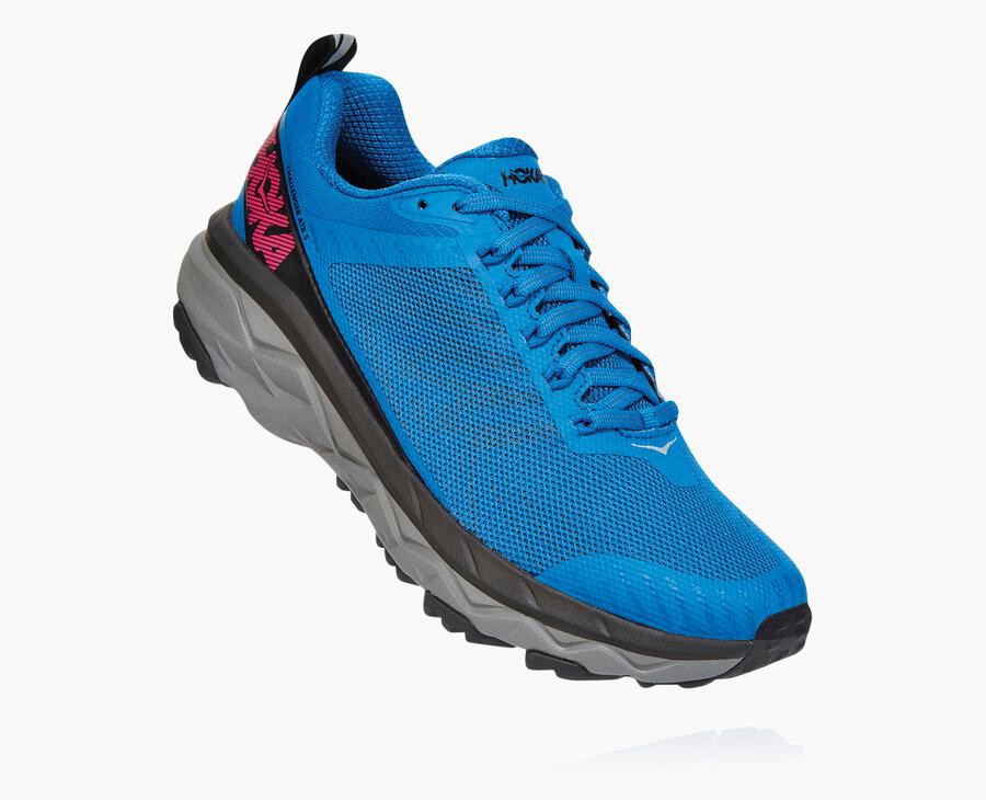 Hoka Womens Trail Shoes NZ - Hoka One One Challenger Atr 5 Blue (VCD107283)